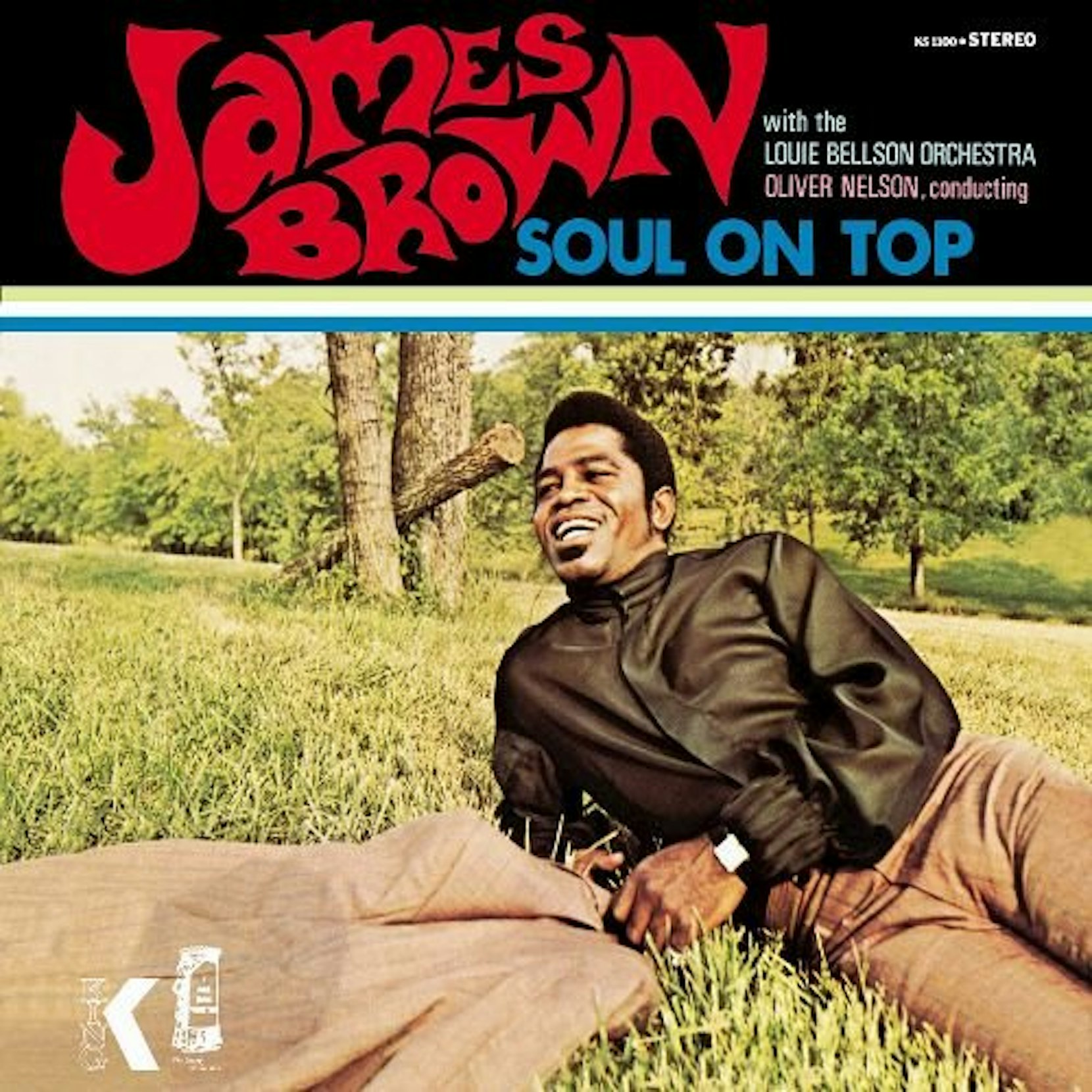 james brown pop vinyl